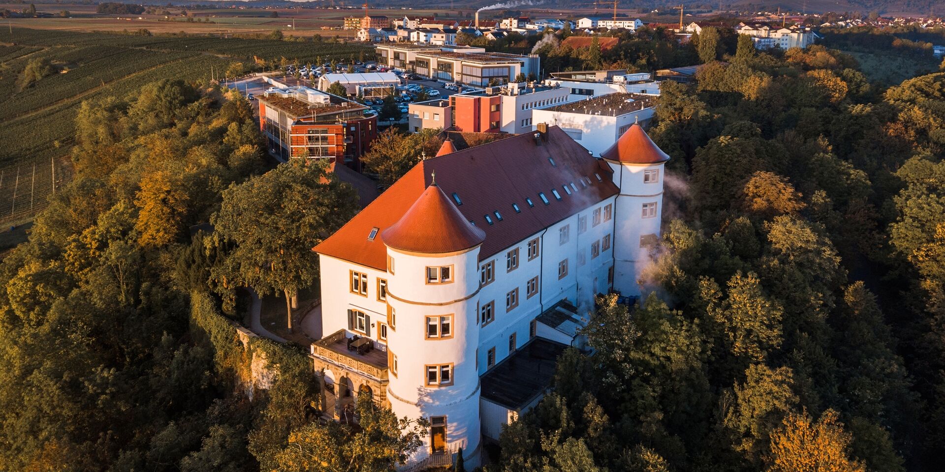 Die Burg Hohenstein