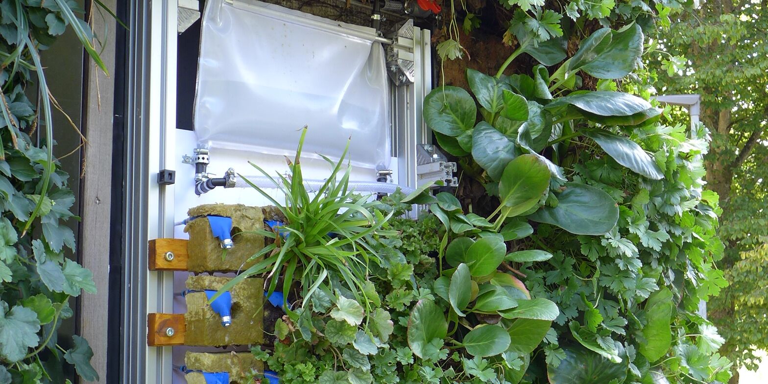Eine Living Wall der DITF
